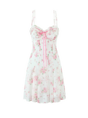Inara Pink Rose Floral Sheer Mini Dress