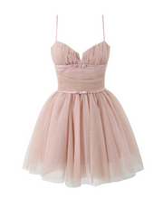 Faye Tulle Corset Mini Dress