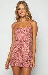 Kai Pink Blush Print Mini Dress