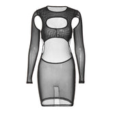 Long sleeve hollow out sheer mesh see through cut out mini dress