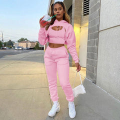 Hollow Out Hoodies & Drawstring Waist Pant Set