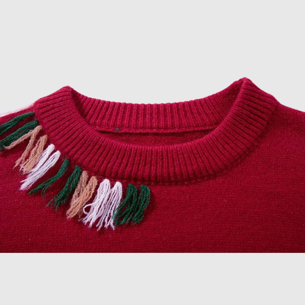 Fringe Embroidered Sweater