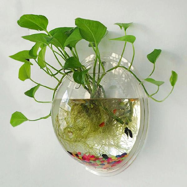 Aquarium Wall Plant Holder