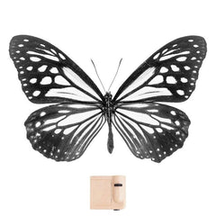 Fairycore Butterfly Wings Projector