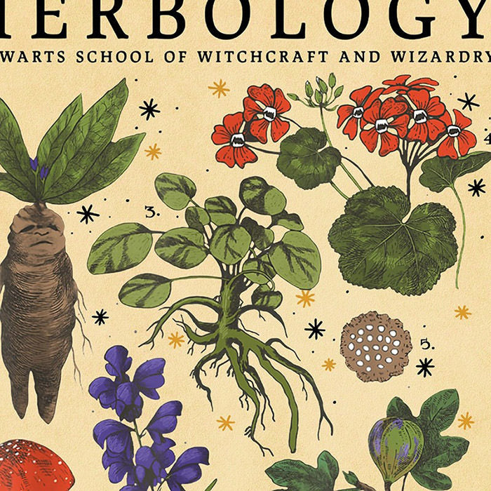 Herbology Vintage Poster