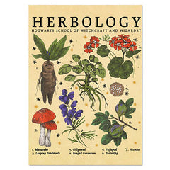 Herbology Vintage Poster