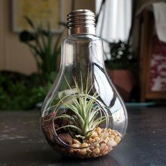 Light Bulb Hanging Vase