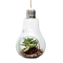 Light Bulb Hanging Vase