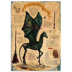 Magical Creatures Canvas Poster