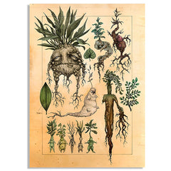 Mandrake Vintage Poster