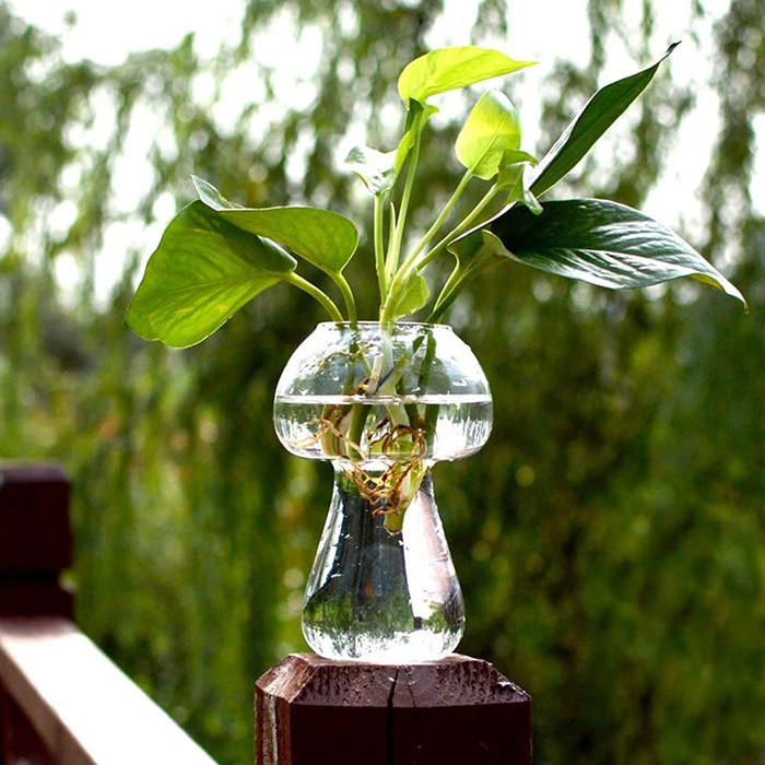 Mushroom Shaped Glass Vase