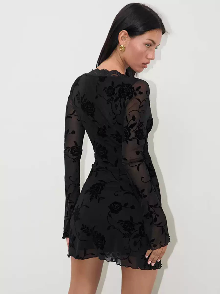 Raven Lace Mesh Mini Dress