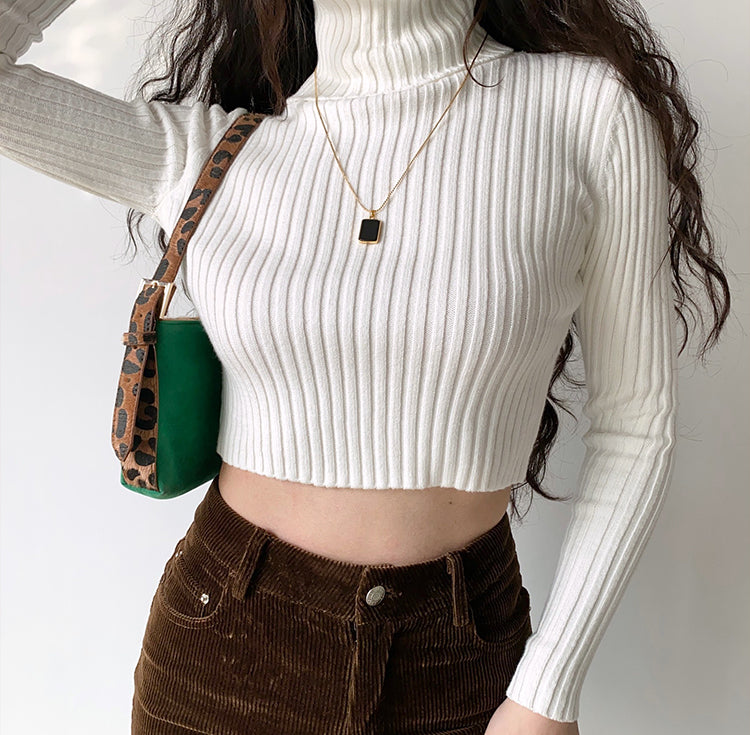 Amour Knitted Turtleneck Sweater