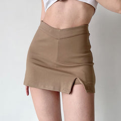 Chic Moment Mini Skirt