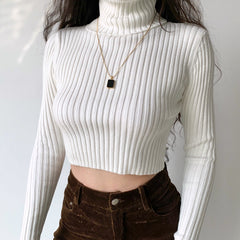 Amour Knitted Turtleneck Sweater