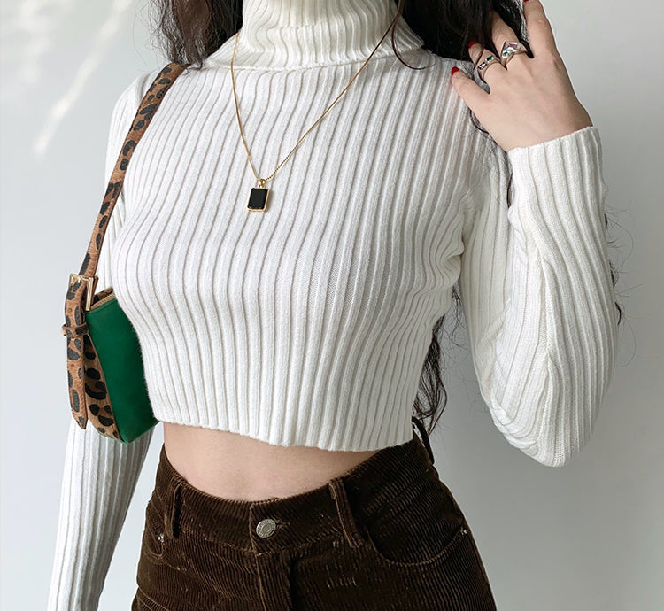 Amour Knitted Turtleneck Sweater