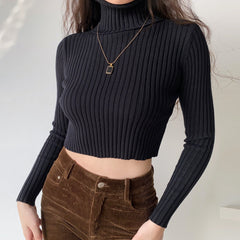 Amour Knitted Turtleneck Sweater