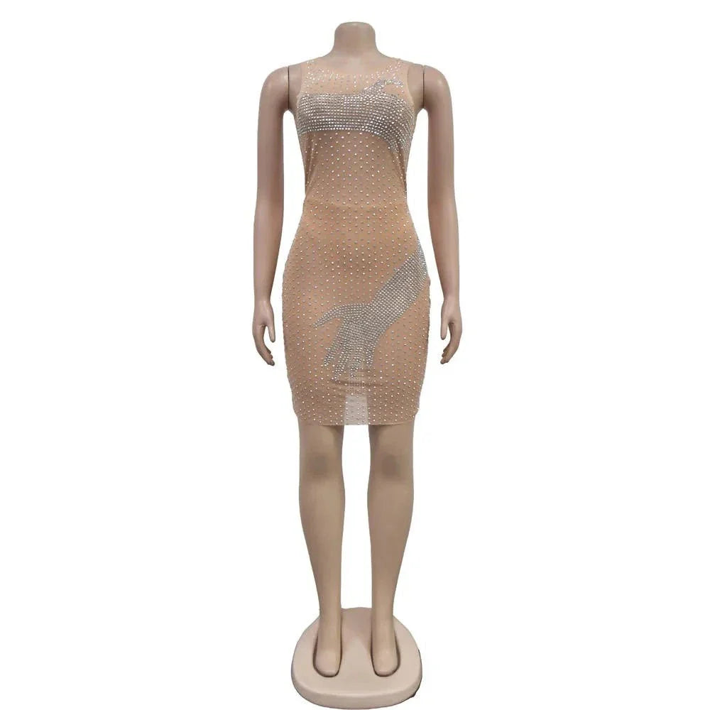 Mesh Rhinestone Round Neck Sleeveless Mini Dress