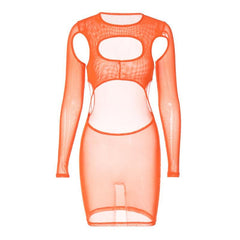Long sleeve hollow out sheer mesh see through cut out mini dress