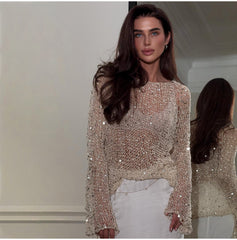 Sequin Knit Sheer Long Sleeve Blouse